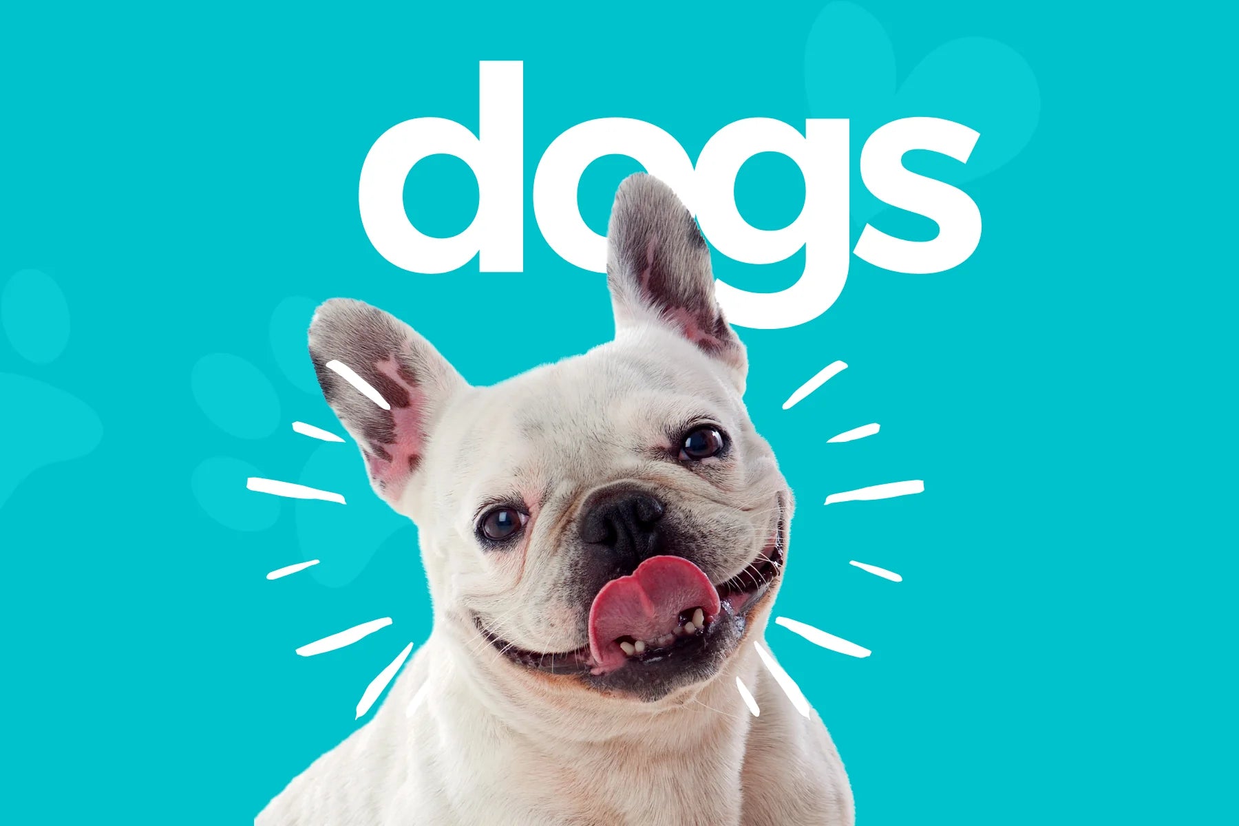 Dog Food Half Price Pet Food