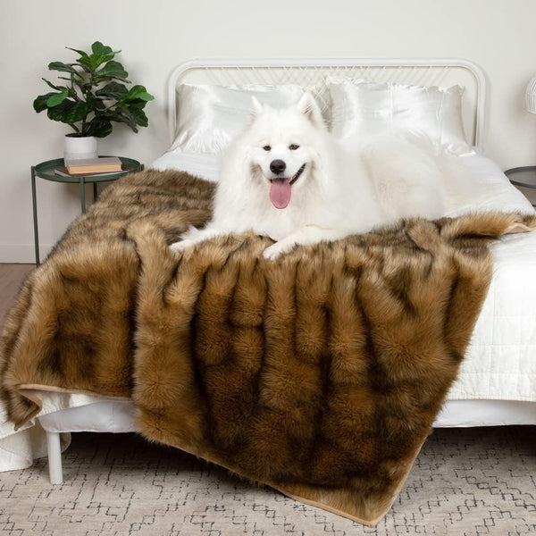 Teton Pet Co. Waterproof Pet Blanket, 50x60 in