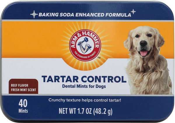 ARM & HAMMER PRODUCTS Tartar Control Dental Mints Beef Flavor Dog Dental Chews, 40 count