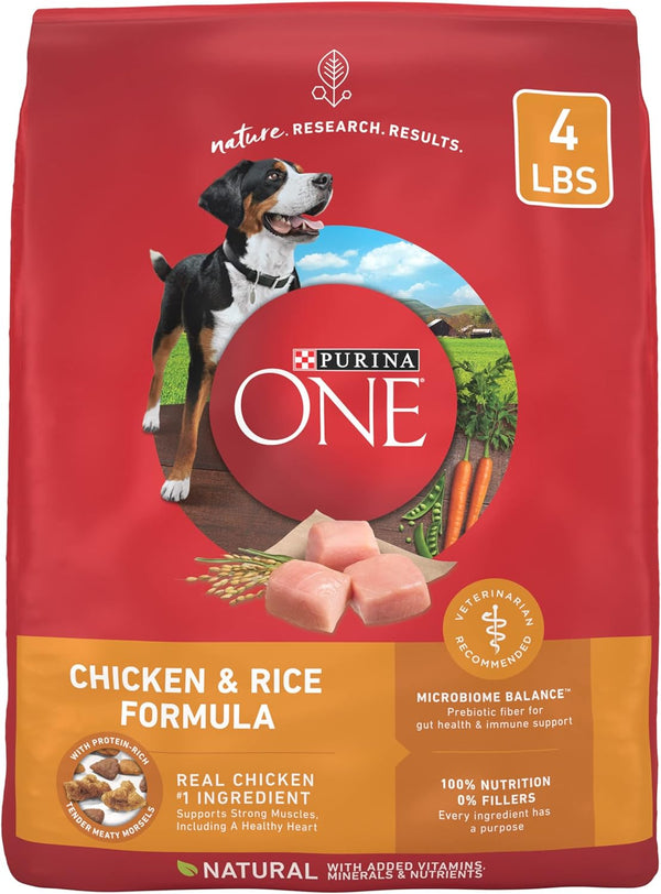 Purina ONE Chicken & Rice Formula Dry Dog Food, 4 lbs