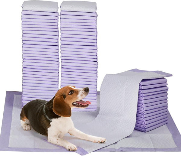 Petphabet 100 Pack Dog Pee Pads 23 x 24 Inches, Lavender Scented