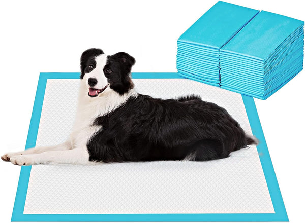 BESTLE Extra Large Pet Training and Puppy Pads Pee Pads for Dogs 28"x34",40 Count