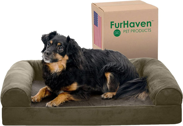 Furhaven Orthopedic Dog Bed for Medium/Small Dogs, Medium