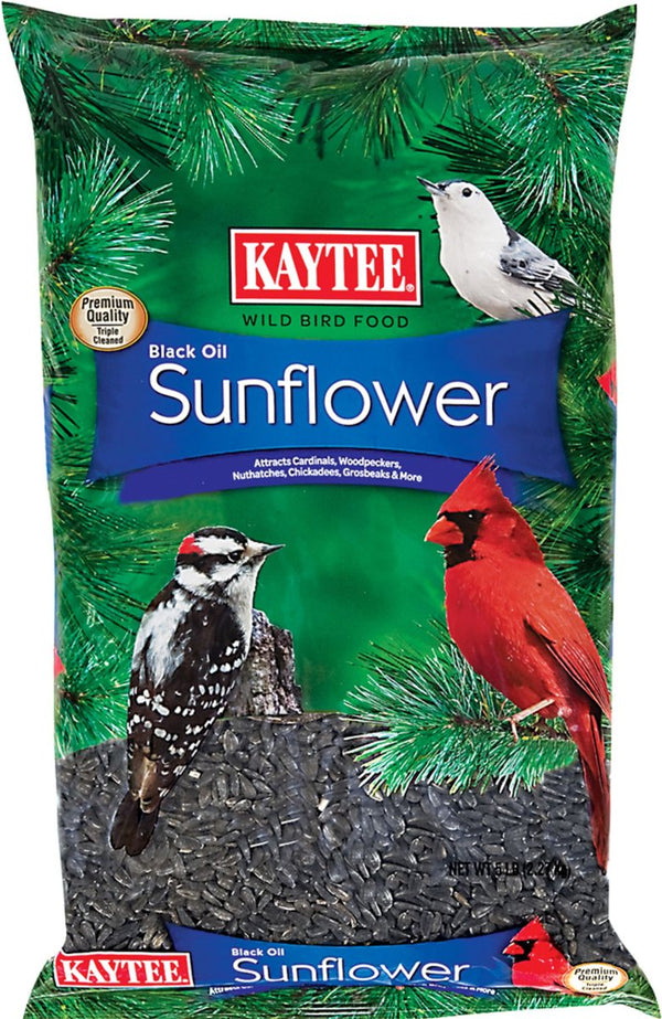 Kaytee Black Oil Sunflower Bird Food, 5 lbs